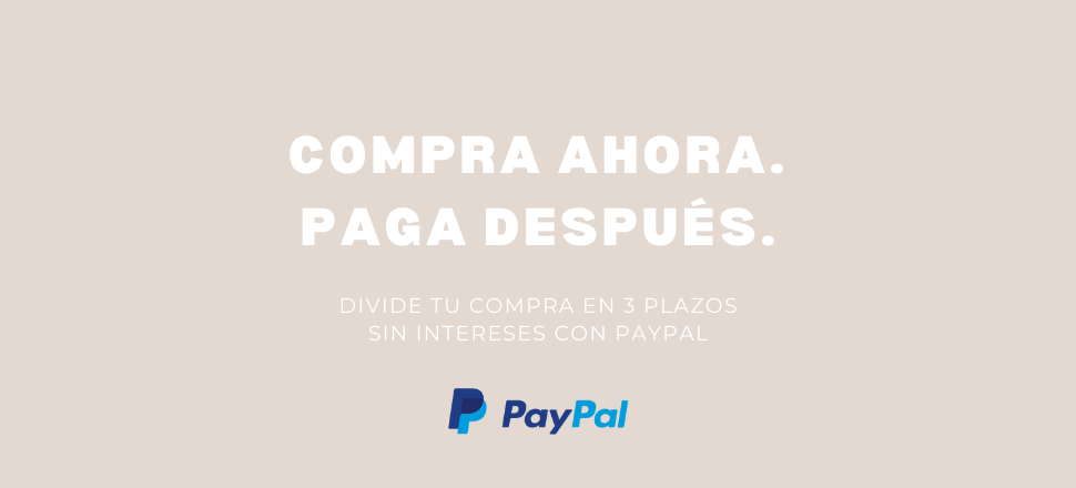 Pay Pal Pay Later